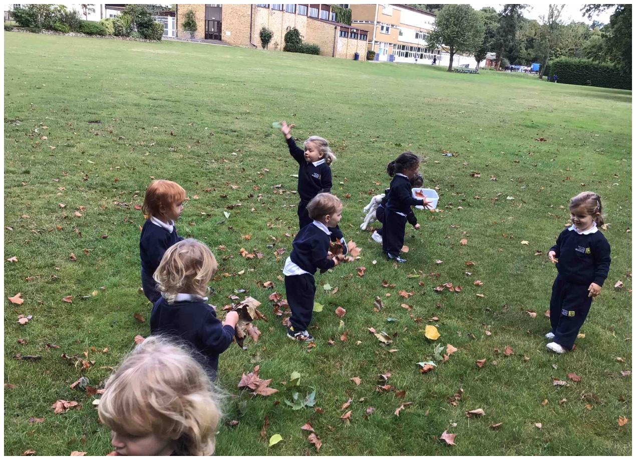 Caterpillars Autumn Leaf Hunt