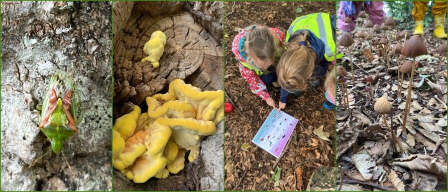 Forest School Sep 10th