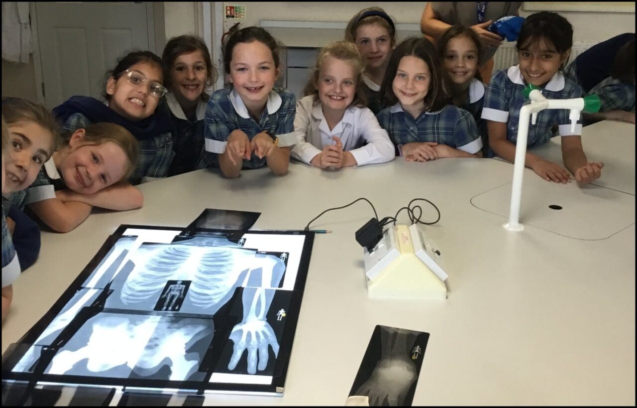 Year 3 Science - Bones