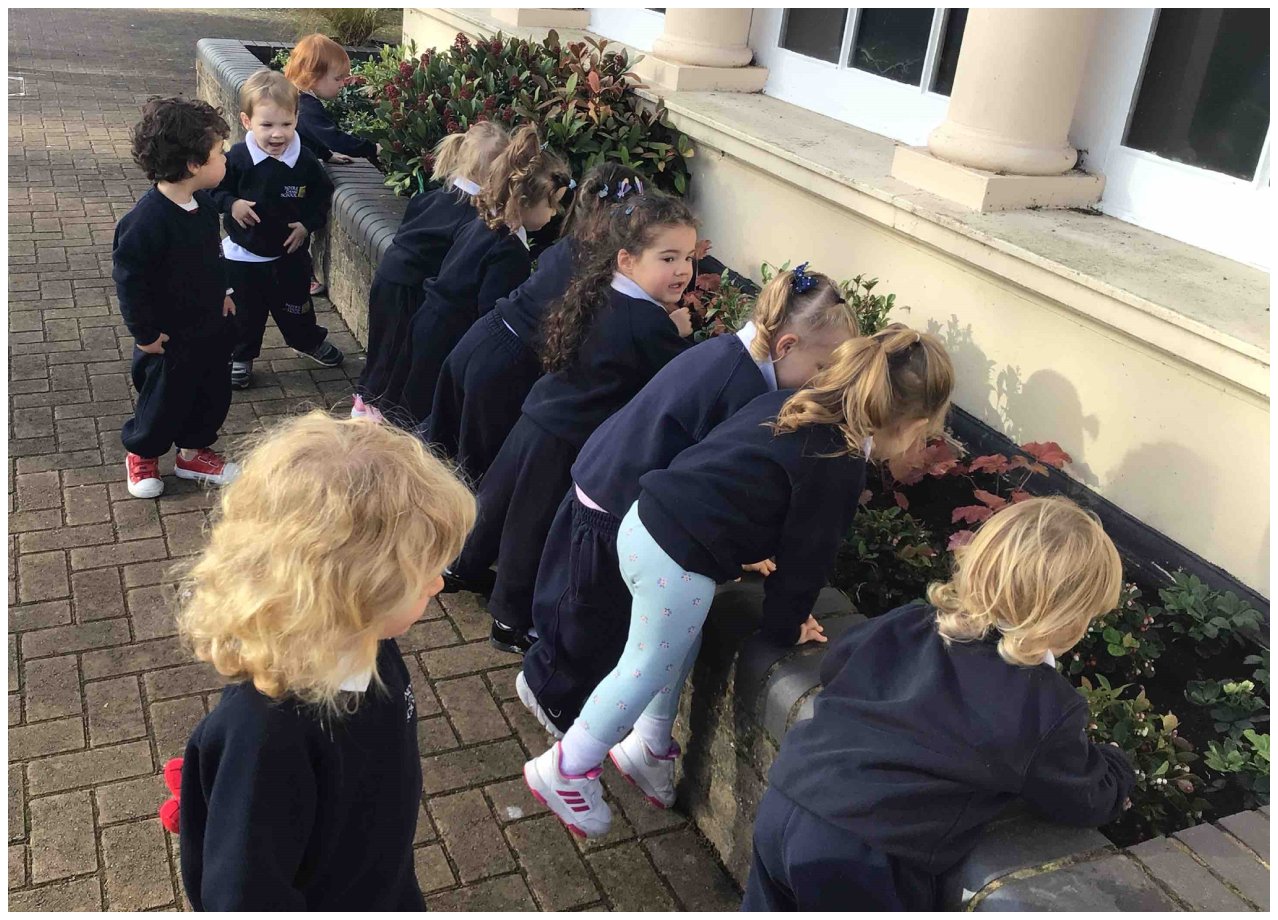 Caterpillars Explore The Grounds