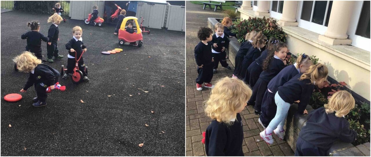 Caterpillars - Outside Learning