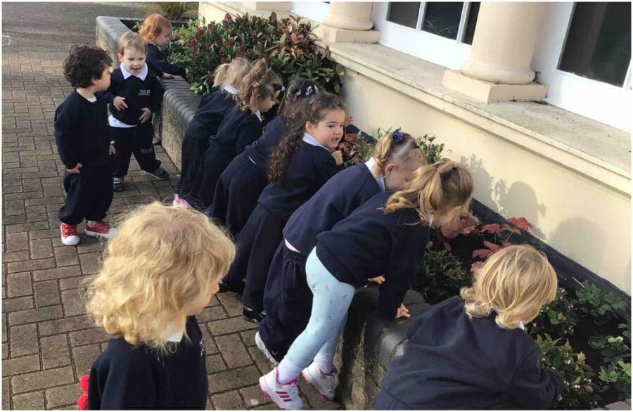 Caterpillars - Outside Learning