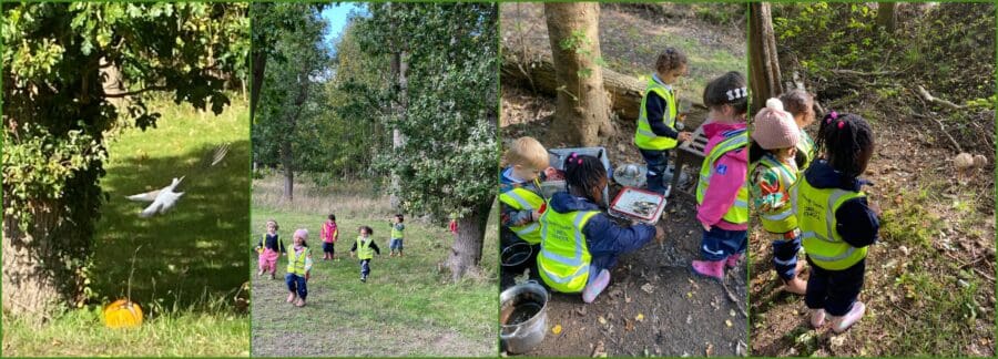 Owls Forest School Oct 8