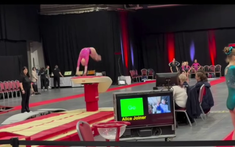 Alice J - English Gymnastics Championships