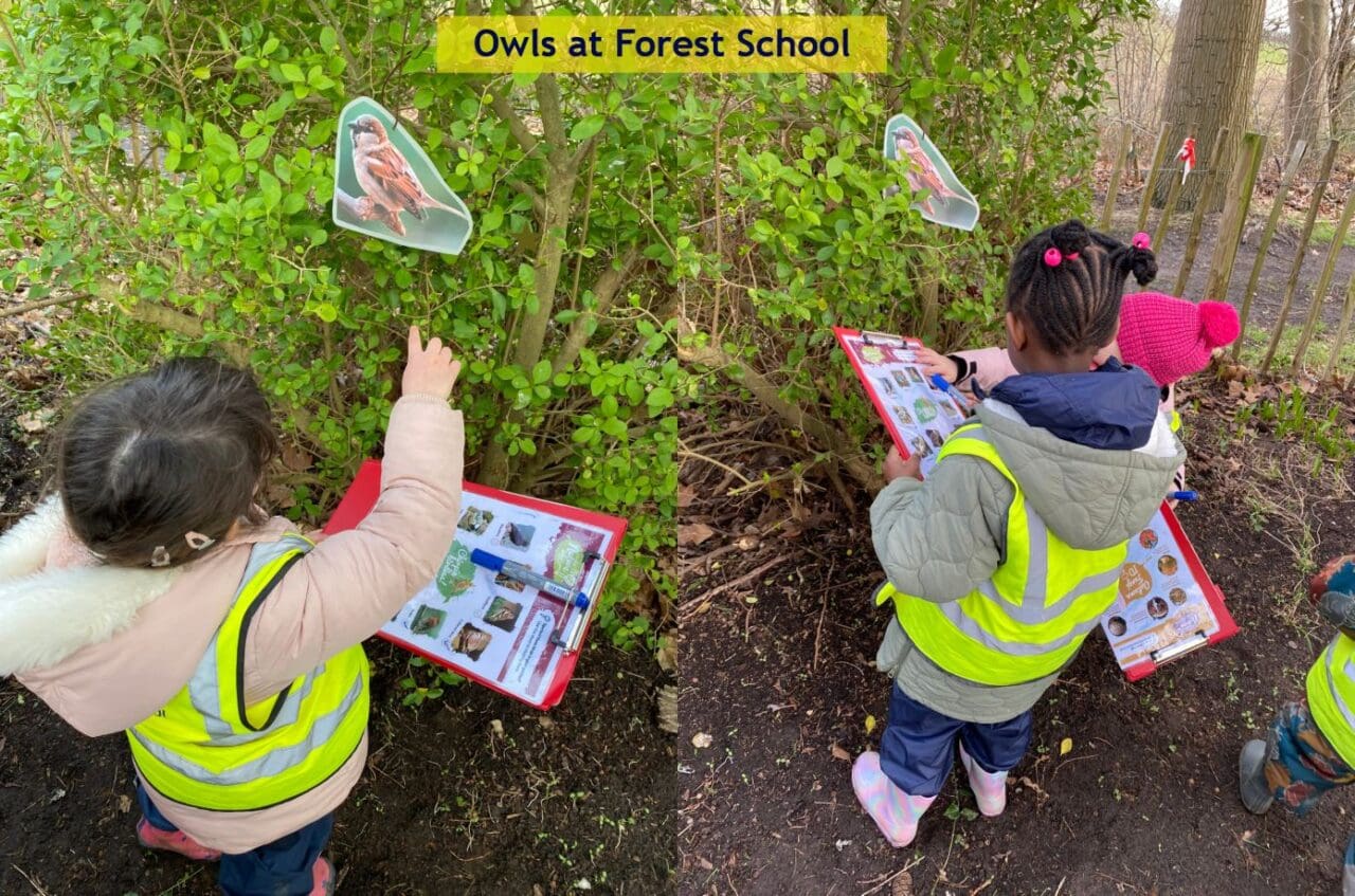 Owls at Forest School Feb 24