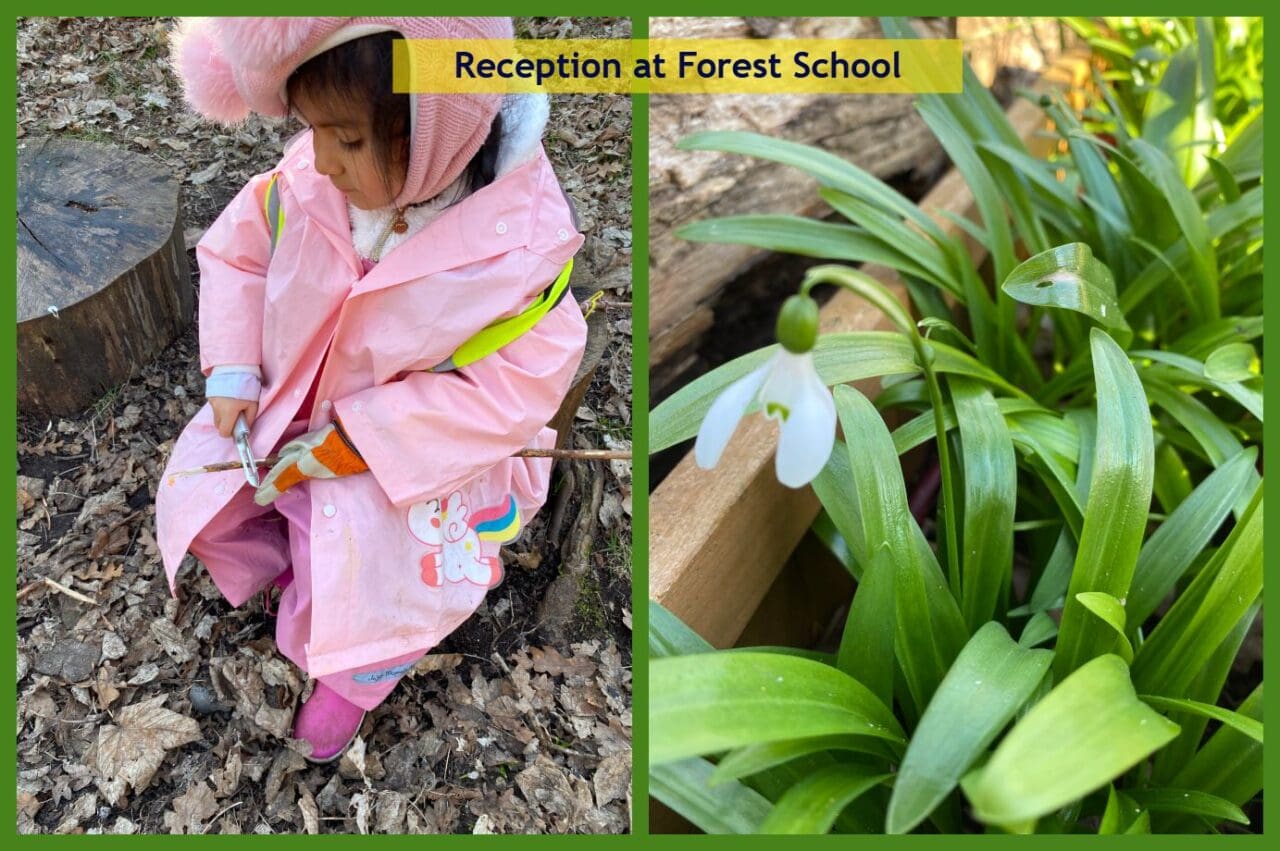 Forest School - Reception March 4