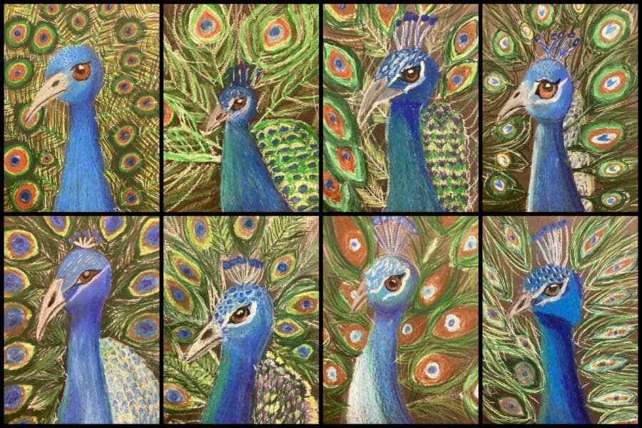 Prep Art - Year 5 Peacocks