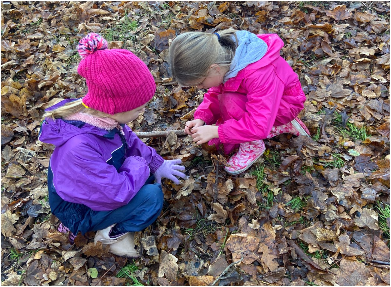 Prep Outdoor Learning - Fairies