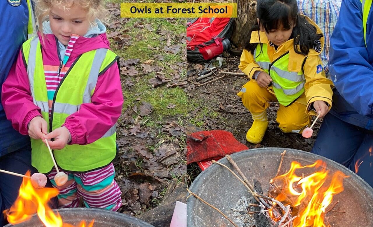 Reception Forest School Feb 11