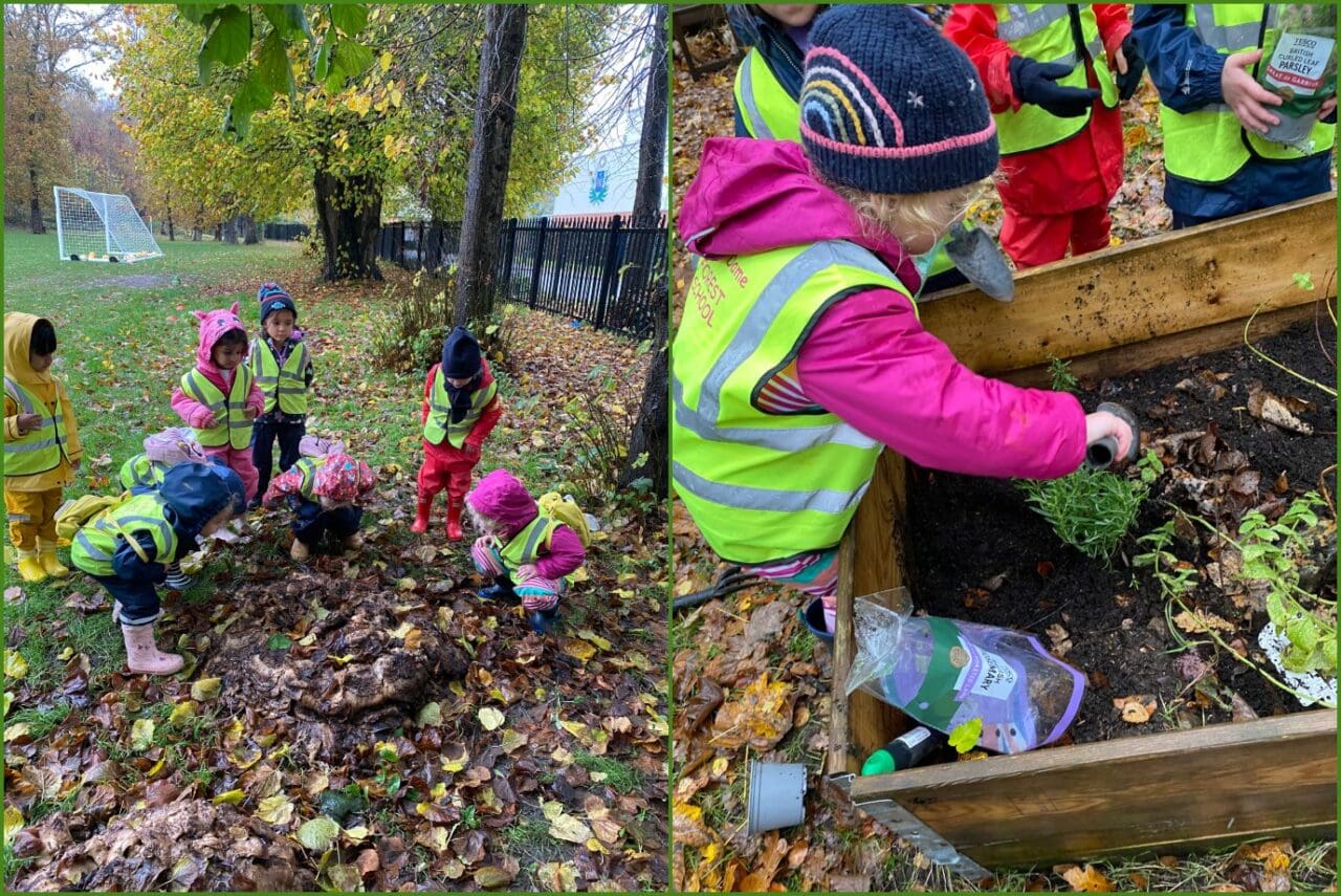 Reception Forest School Nov 19