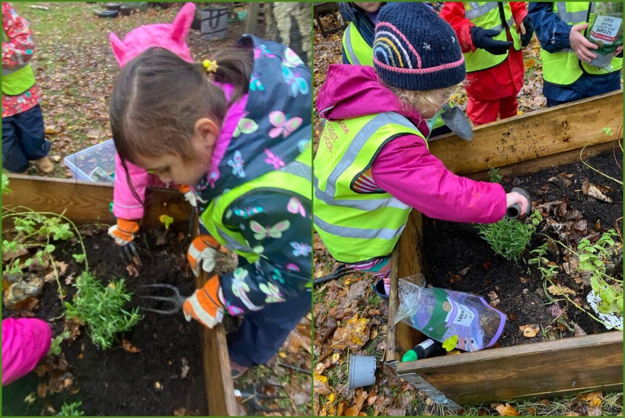 Reception Forest School Nov 19