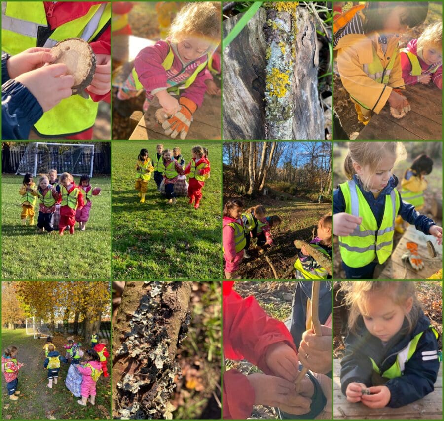 Reception Forest School Nov 26