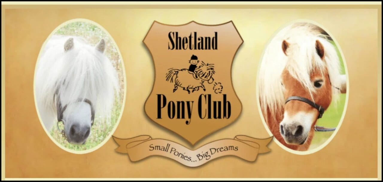 Shetland Pony Club