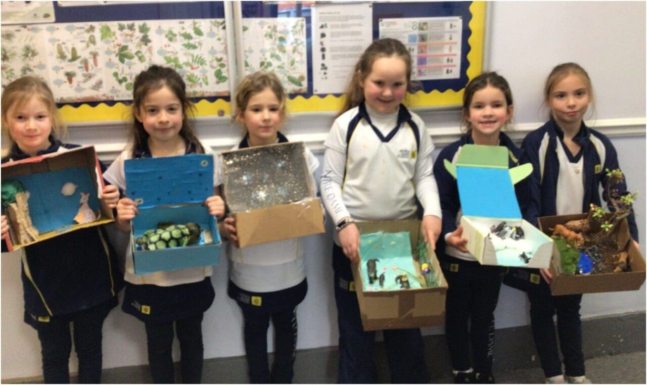 Y2 Habitats in a Box