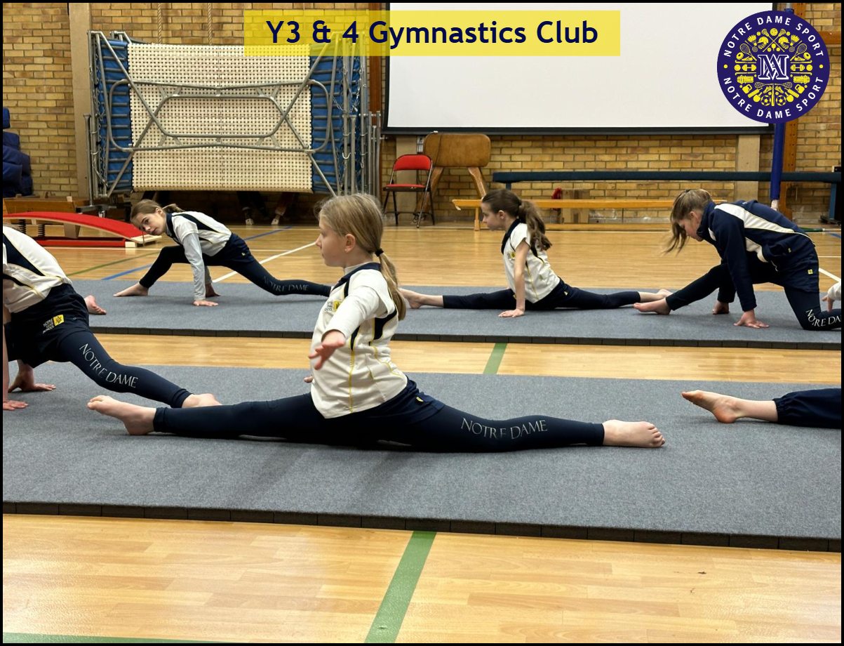 Y3 and 4 Gymnastics Club