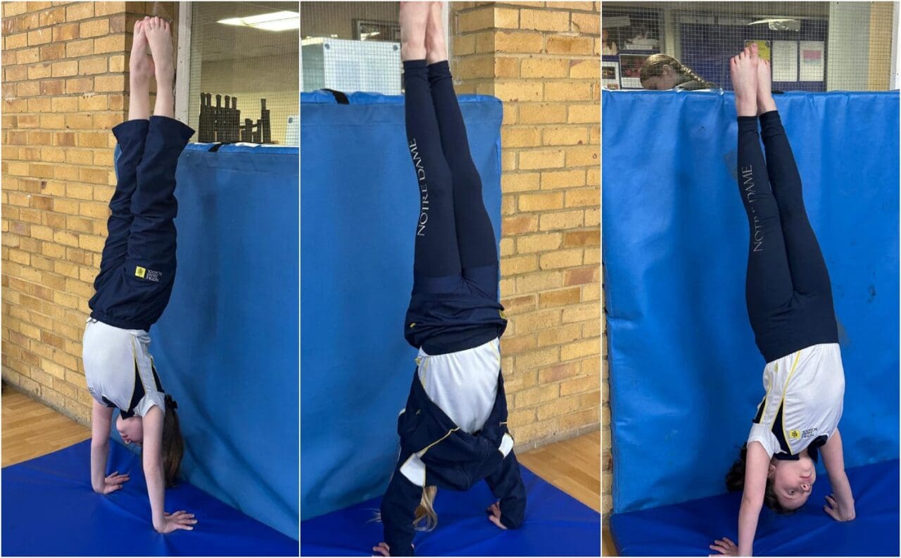 Y3 and 4 Gymnastics Club - Vaulting and Handstands