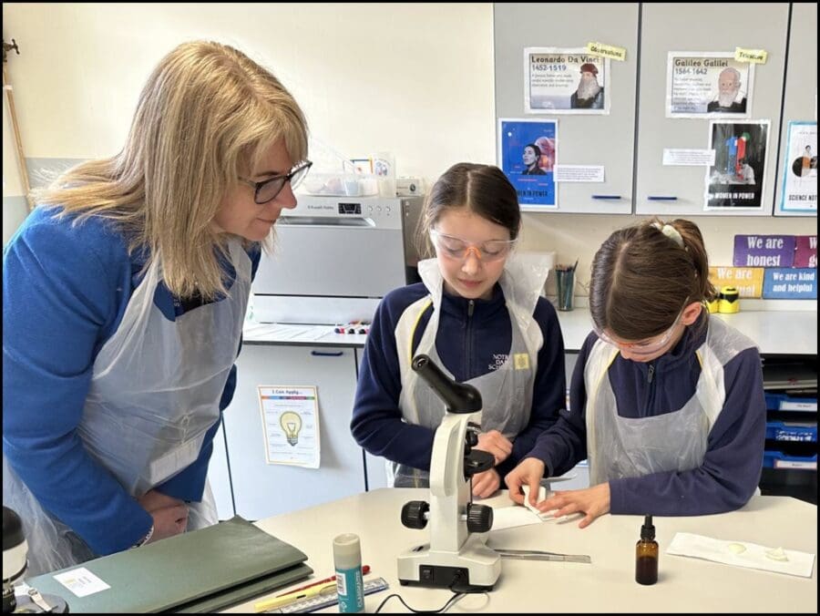 Year 6 Microscopes