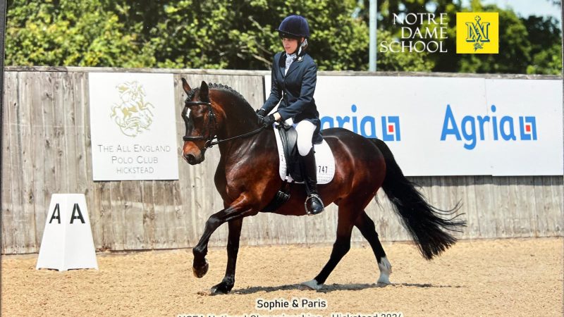 Sophie C - Equestrian Event at Hickstead