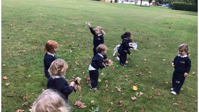 Caterpillars Autumn Leaf Hunt