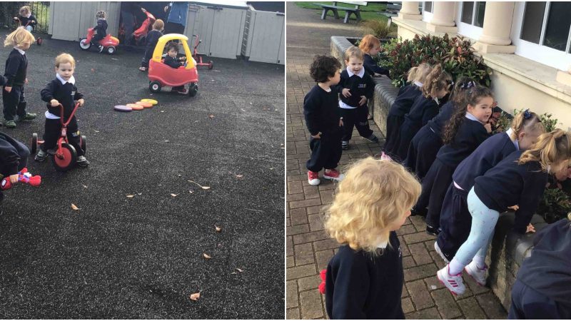 Caterpillars - Outside Learning