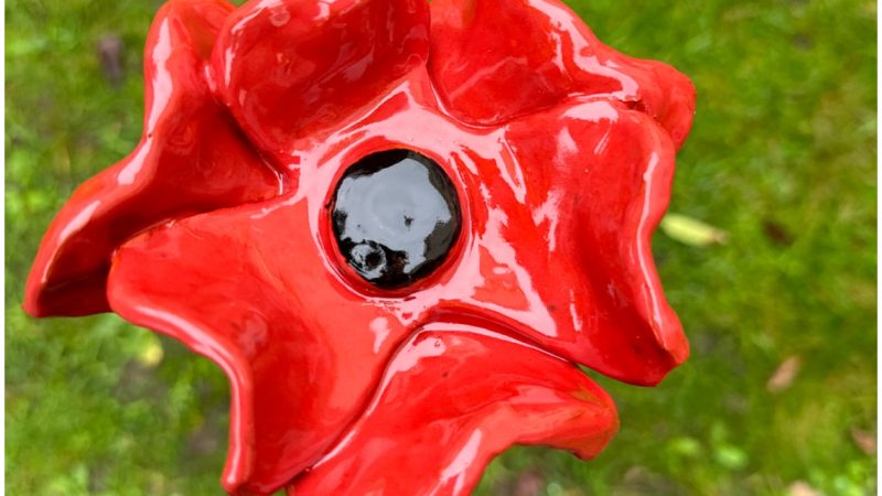 Ceramic Poppies (1)