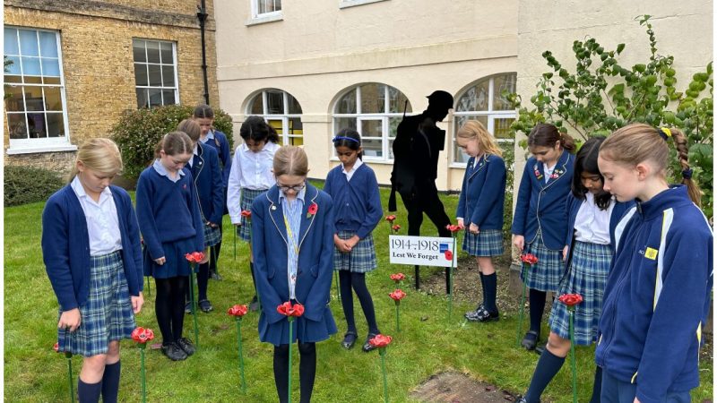 Ceramic Poppies on Remembrance Day