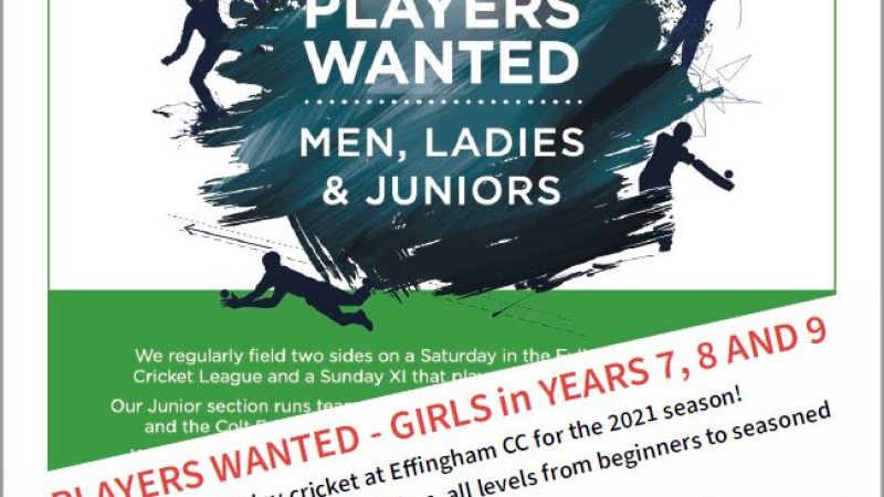 Effingham Cricket Club