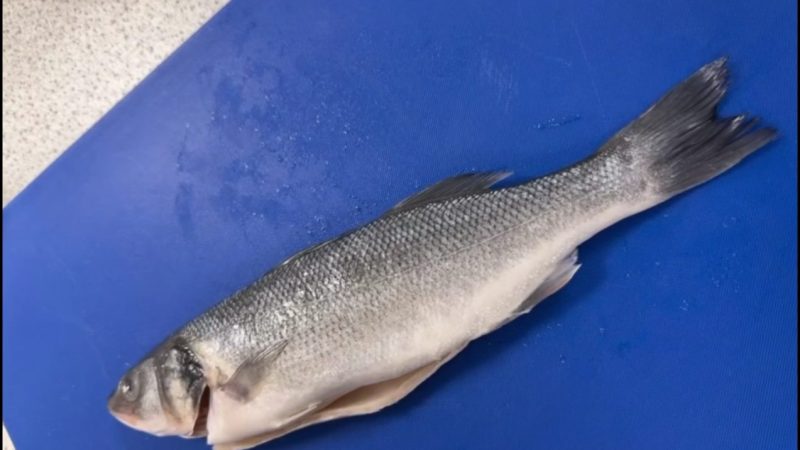 Food and Nutrition - Fish Filleting