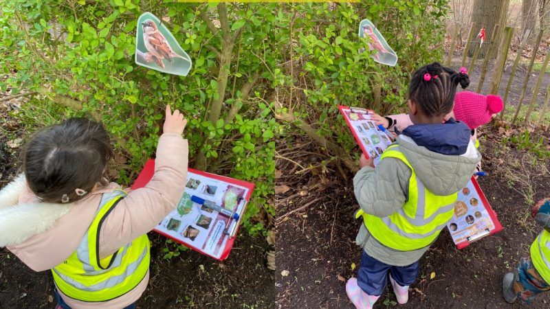 Owls at Forest School Feb 24