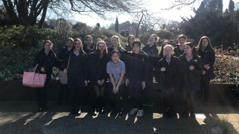 GCSE Art Trip to Wisley