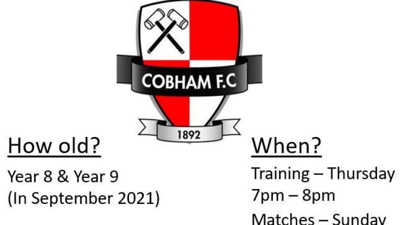 Girls Football - Cobham FC