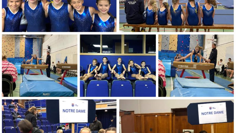 IAPS Gymnastics Championships