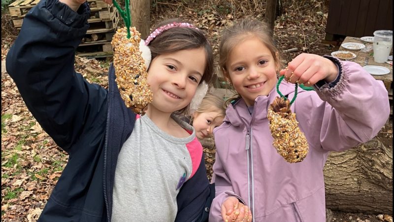 Infant Bird Feeders