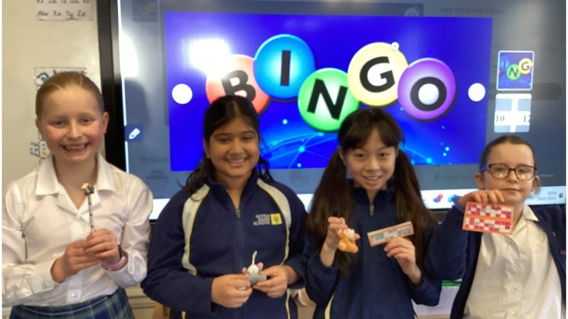 KS2 Maths Ambassadors - BINGO