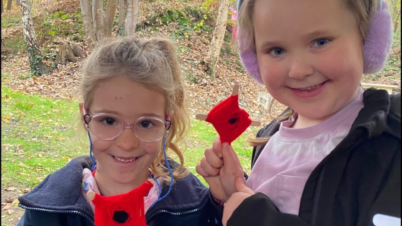 Poppies at Forest School