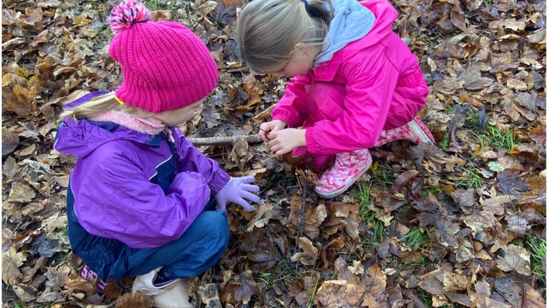 Prep Outdoor Learning - Fairies