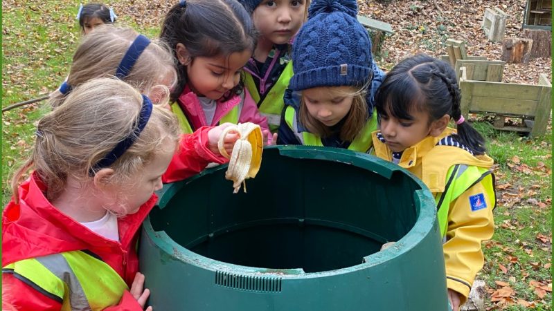 Reception Forest School Nov 12 (2)