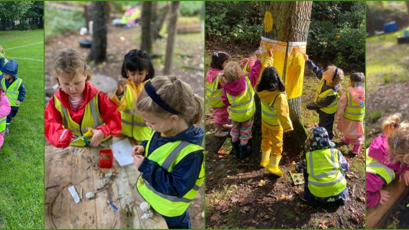 Reception Forest School