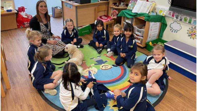 Reception with Tef the Wellbeing dog