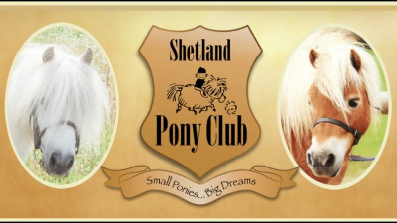 Shetland Pony Club