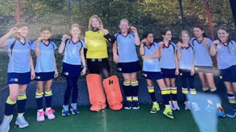 U11B Hockey Downsend tournament