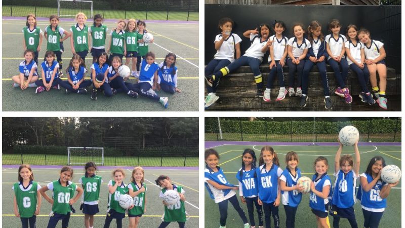 U8 Netball v Milbourne Lodge