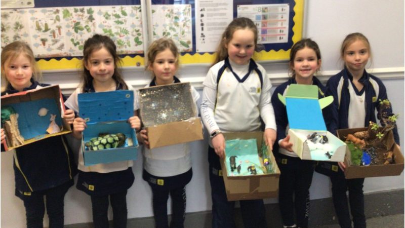 Y2 Habitats in a Box