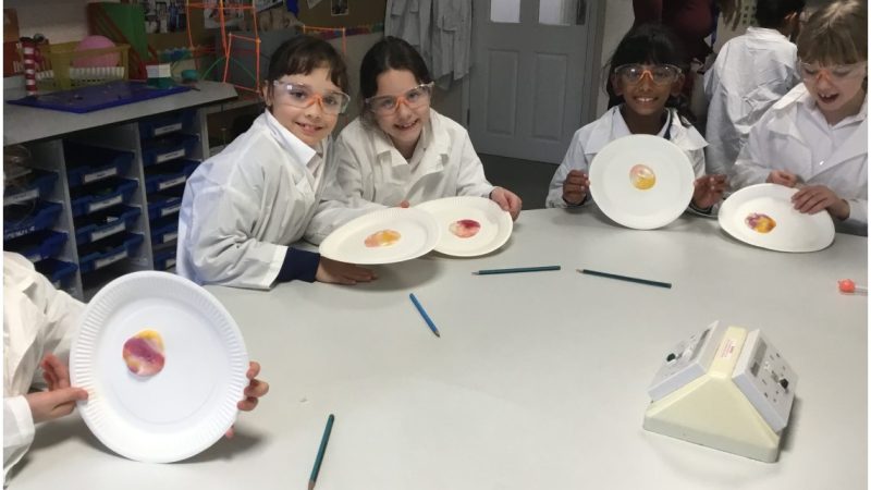 Y3 Science - Rocks