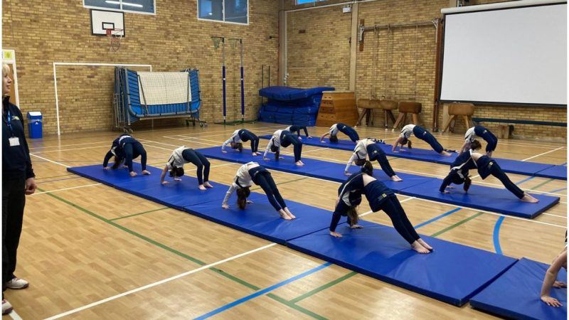 Y3 and 4 Gymnastics Club Jan 8