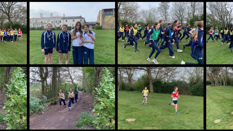 Year 9 Inter House Cross Country