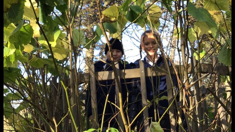 Year 2 Painshill Park Fairy-Tale Walk