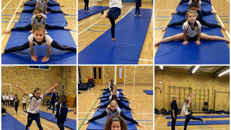 Year 3 and 4 Gymnastics Club Jan 25