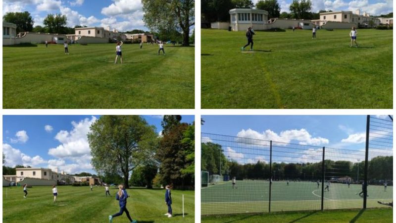 Year 8 Inter House Rounders