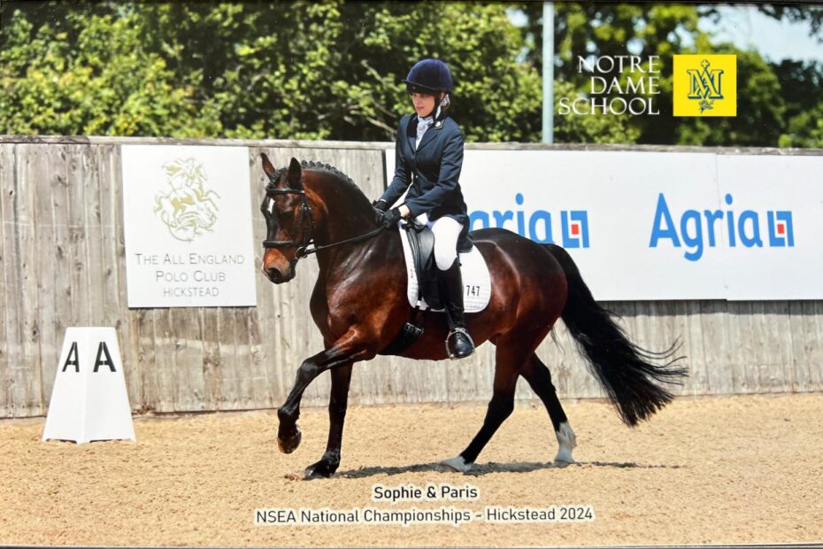 Sophie C - Equestrian Event at Hickstead